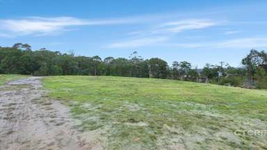 Farm For Sale - VIC - Cann River - 3890 - Over Six Acres of Stunning Elevated Land  (Image 2)