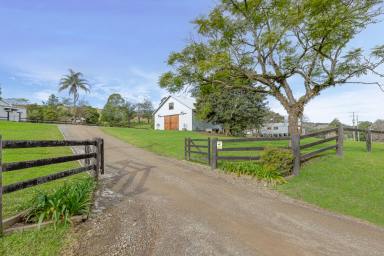 Farm For Sale - NSW - Upper Allyn - 2311 - St Helena - Hunter Valley  (Image 2)