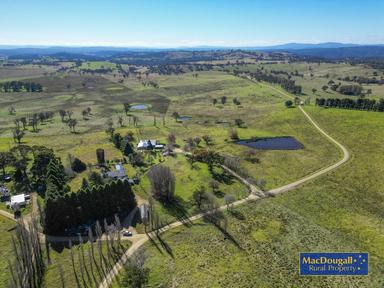 338 Fishington Road, Wongwibinda NSW 2350