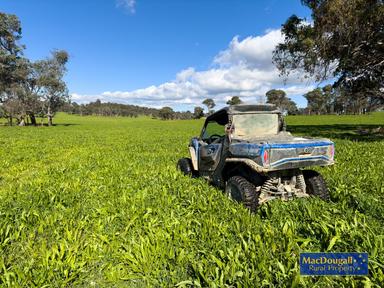 161 Hickeys Road, Wongwibinda NSW 2350