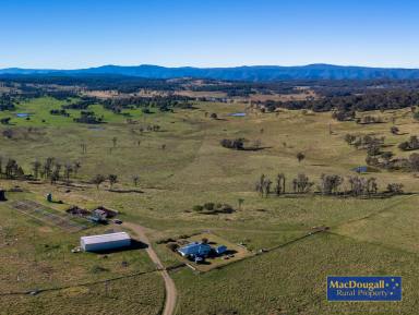 Farm For Sale - NSW - Wongwibinda - 2350 - Currently operated as a backgrounding operation, “Forest Lodge” would be equally suitable to run breeders.  (Image 2)
