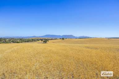 Farm Sold - VIC - Willaura North - 3379 - 'Cunnagher' 783 acres Quality Cropping/Grazing  (Image 2)