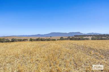 Farm Sold - VIC - Willaura North - 3379 - 'Cunnagher' 783 acres Quality Cropping/Grazing  (Image 2)