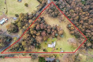 Farm For Sale - TAS - Collinsvale - 7012 - Escape to the country  (Image 2)