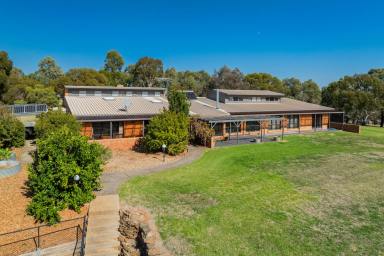 Farm Sold - NSW - Ladysmith - 2652 - Prized Mixed Farming & Grazing  (Image 2)