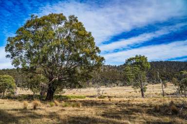 Farm For Sale - TAS - Deddington - 7212 - "Marathon"  (Image 2)