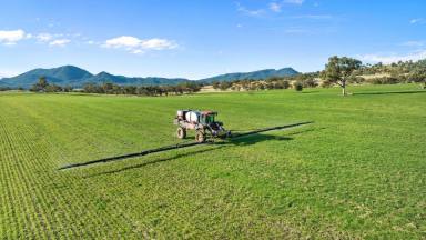 Farm Expressions of Interest - NSW - Werris Creek - 2341 - Perfectly Positioned In The Liverpool Plains  (Image 2)