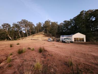 Farm For Sale - NSW - Singleton - 2330 - Secluded 393 Acres* Neighbouring Mt Royal National Park  (Image 2)