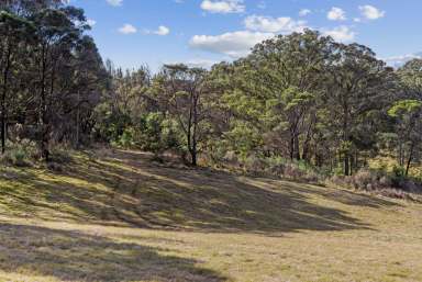 Farm For Sale - NSW - Marulan - 2579 - A Rare Gem  (Image 2)