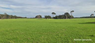 Farm For Sale - WA - Napier - 6330 - Well located with diversified income stream!  (Image 2)