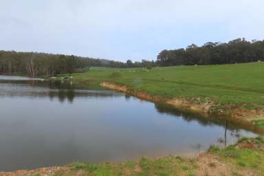 Farm For Sale - WA - Newlands - 6251 - New Opportunities in Newlands 56.8 Ha* (approx. 140 Ac*)  (Image 2)