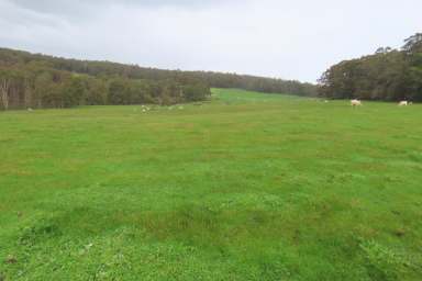 Farm For Sale - WA - Newlands - 6251 - New Opportunities in Newlands 56.8 Ha* (approx. 140 Ac*)  (Image 2)