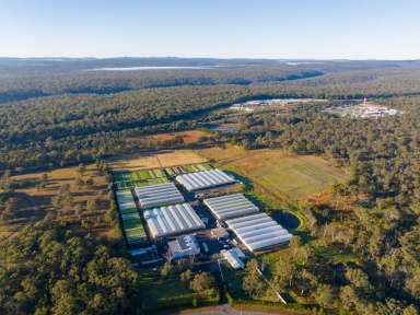 Farm For Sale - NSW - Pheasants Nest - 2574 - Pheasants Nest Greenhouse  (Image 2)