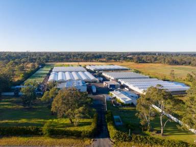 Farm For Sale - NSW - Pheasants Nest - 2574 - Pheasants Nest Greenhouse  (Image 2)