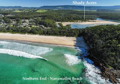 Farm For Sale - NSW - Narrawallee - 2539 - Shady Acres - A Coastal Gem set in a Private Location  (Image 2)