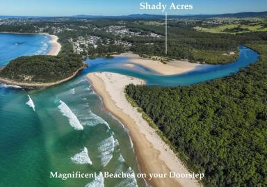 Farm For Sale - NSW - Narrawallee - 2539 - Shady Acres - A Coastal Gem set in a Private Location  (Image 2)