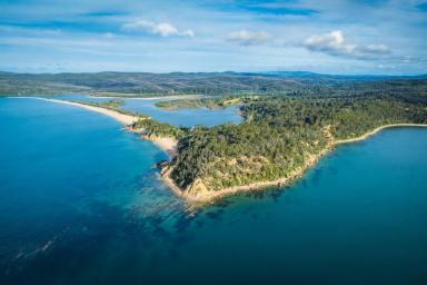 Farm For Sale - NSW - Boydtown - 2551 - Moutry's - Stunning Absolute Beachfront and Riverfront Property with Direct Access onto 3 Private Beaches  (Image 2)