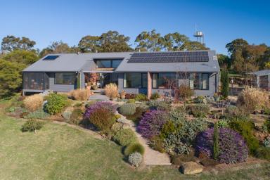 Farm For Sale - VIC - Camperdown - 3260 - Sustainable Living – Outstanding Views  (Image 2)
