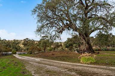 Farm Sold - SA - Eden Valley - 5235 - Quiet country living in Eden Valley….  (Image 2)