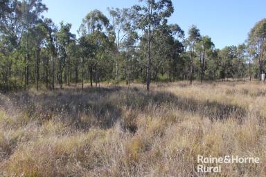 Farm Sold - QLD - Runnymede - 4615 - 7.5 Acres Fully Fenced.  (Image 2)