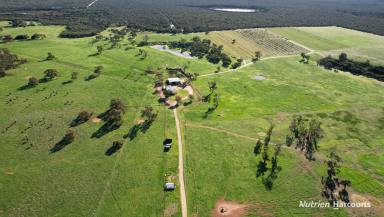 Farm For Sale - WA - Wanerie - 6503 - Prime Mixed Agricultural Property, Close to Perth and W.A Coast  (Image 2)