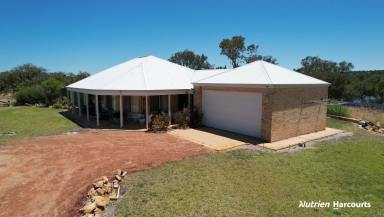 Farm For Sale - WA - Gingin - 6503 - Hobby Farm, Lifestyle and Investment!  (Image 2)