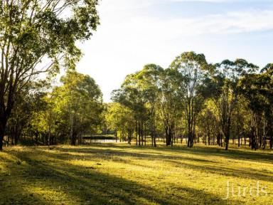 Farm For Sale - NSW - Pokolbin - 2320 - HUNTER VALLEY’S MOST COVETED LOCATION  (Image 2)