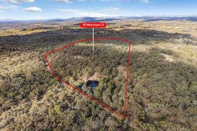 Farm For Sale - VIC - Heathcote - 3523 - Unique Residential Land Opportunity in Picturesque Heathcote!  (Image 2)