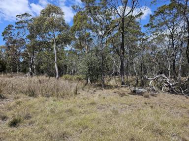 Farm For Sale - TAS - Pontypool - 7190 - Absolute privacy  (Image 2)