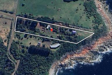 Farm For Sale - TAS - Seymour - 7215 - Premium land opportunity in Seymour  (Image 2)