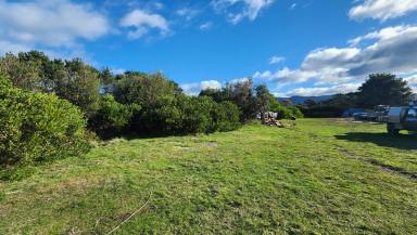 Farm For Sale - TAS - Seymour - 7215 - Premium land opportunity in Seymour  (Image 2)