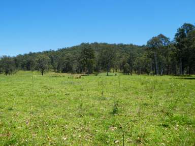 Farm For Sale - NSW - Myrtle Creek - 2469 - CROP TILL YOU DROP  (Image 2)