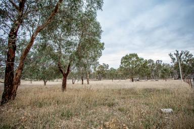 Farm Sold - VIC - Apsley - 3319 - Aspect, position and opportunity  (Image 2)