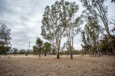 Farm Sold - VIC - Apsley - 3319 - Aspect, position and opportunity  (Image 2)