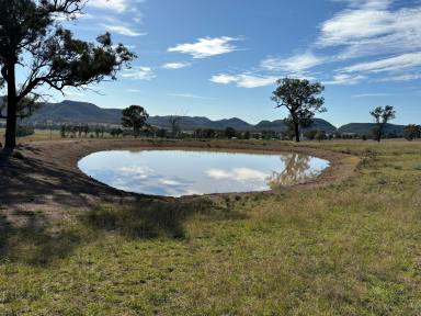 Farm For Sale - NSW - Sandy Hollow - 2333 - Country Living at its Best!!  (Image 2)