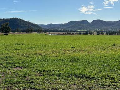 Farm For Sale - NSW - Sandy Hollow - 2333 - Country Living at its Best!!  (Image 2)