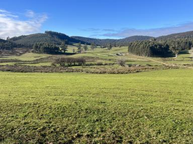 Farm For Sale - TAS - Pyengana - 7216 - Outstanding North East Farm  (Image 2)