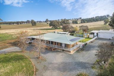 Farm For Sale - NSW - Parkes - 2870 - Ray White Real Estate 02 68621900  (Image 2)