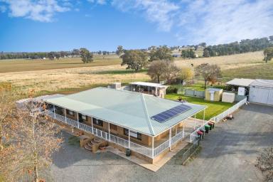 Farm For Sale - NSW - Parkes - 2870 - Ray White Real Estate 02 68621900  (Image 2)