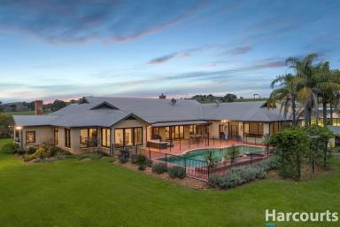 Farm For Sale - NSW - Dungog - 2420 - "Barrington Park" – Exceptional Country Estate  (Image 2)