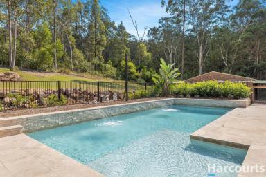 Farm For Sale - NSW - Seaham - 2324 - Serenity At It's Finest… Peace, Quiet & Tranquillity on This Lifestyle Acreage  (Image 2)