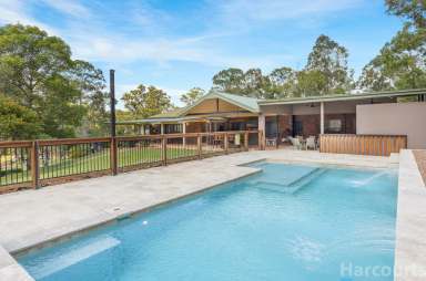 Farm Sold - NSW - Seaham - 2324 - Serenity At It's Finest… Peace, Quiet & Tranquillity on This Lifestyle Acreage  (Image 2)