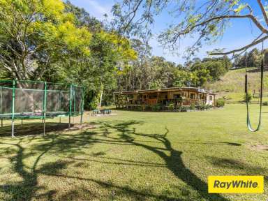 Farm For Sale - NSW - Commissioners Creek - 2484 - A Rare Lifestyle opportunity  - 3 large Homes on 100 Acers.  (Image 2)