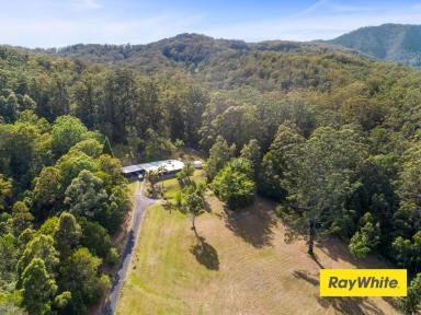 Farm For Sale - NSW - Commissioners Creek - 2484 - A Rare Lifestyle opportunity  - 3 large Homes on 100 Acers.  (Image 2)