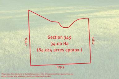 Farm For Sale - SA - Lower Light - 5501 - 84 ACRES - LAND OPPORTUNITY  (Image 2)