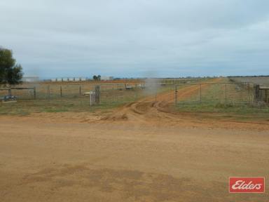 Farm For Sale - SA - Lower Light - 5501 - 2 X 20 ACRES LAND OPPORTUNITIES  (Image 2)