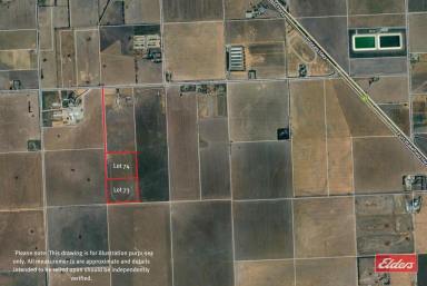 Farm For Sale - SA - Lower Light - 5501 - 2 X 20 ACRES LAND OPPORTUNITIES  (Image 2)