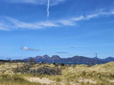 Farm For Sale - TAS - Dolphin Sands - 7190 - Views - tick; beach access - tick  (Image 2)