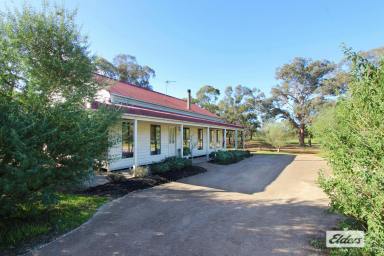 Farm For Sale - VIC - Lockwood - 3551 - RENOVATED COUNTRY COTTAGE ON 20 PICTURESQUE ACRES  (Image 2)