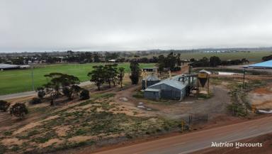 Farm For Sale - WA - Narembeen - 6369 - LARGE SITE WITH EXCELLENT POSITION  (Image 2)